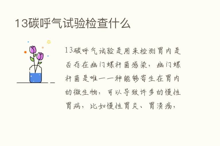 13碳呼气试验检查什么