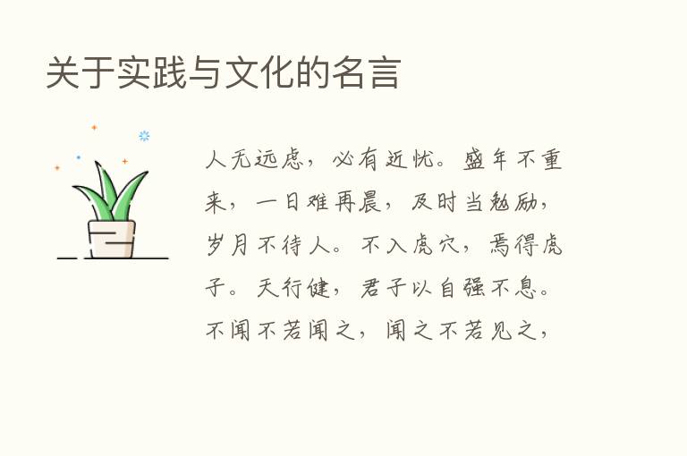 关于实践与文化的名言