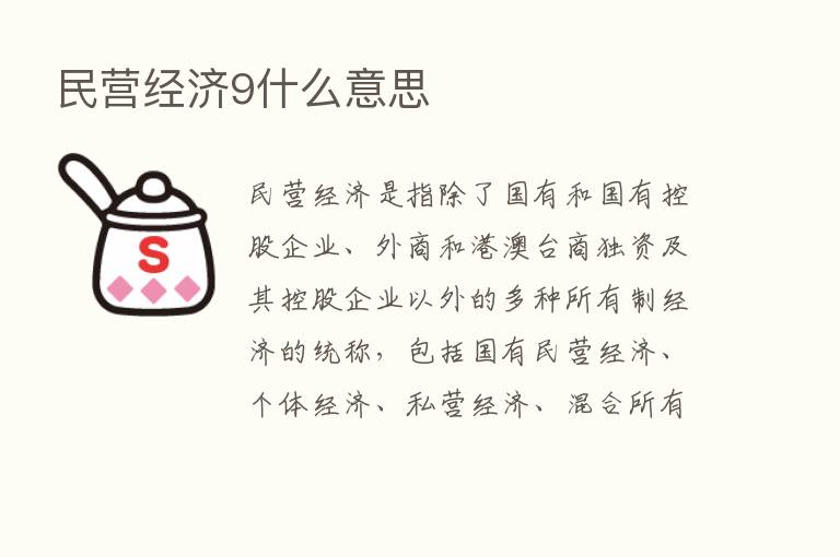 民营经济9什么意思