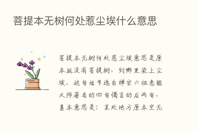 菩提本无树何处惹尘埃什么意思