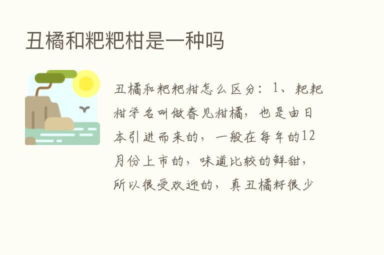 丑橘和粑粑柑是一种吗