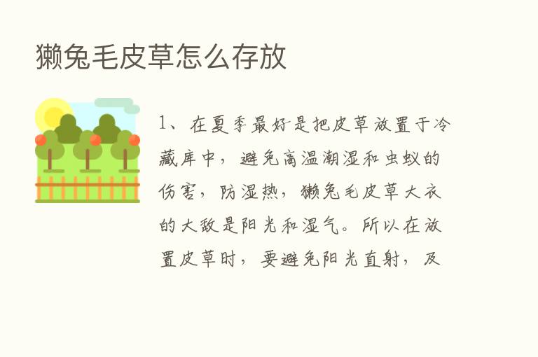 獭兔毛皮草怎么存放