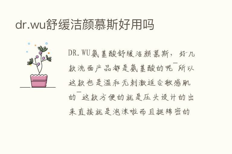 dr.wu舒缓洁颜慕斯好用吗