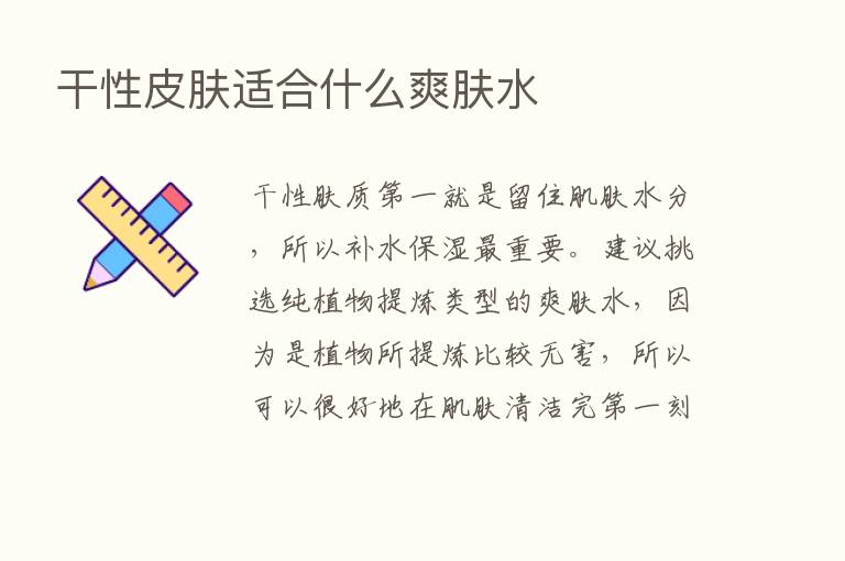 干性皮肤适合什么爽肤水