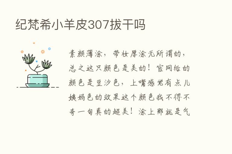 纪梵希小羊皮307拔干吗