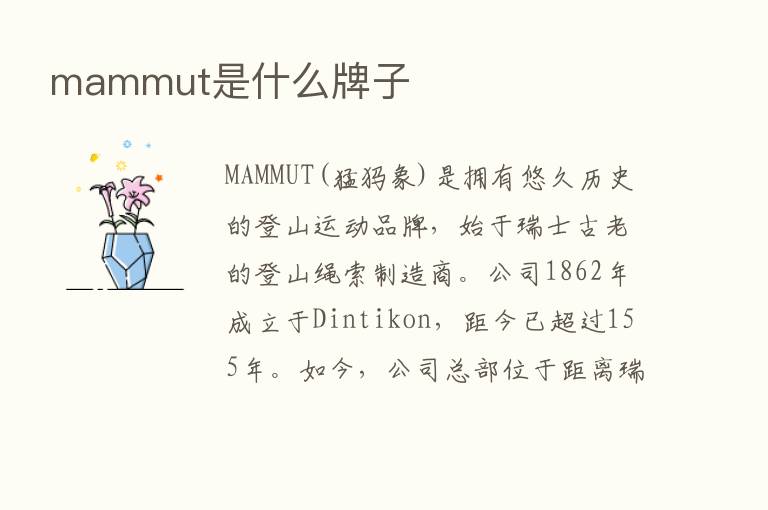 mammut是什么牌子