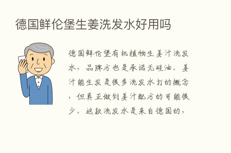 德国鲜伦堡生姜洗发水好用吗