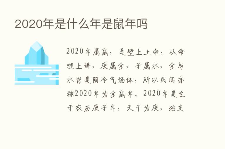 2020年是什么年是鼠年吗