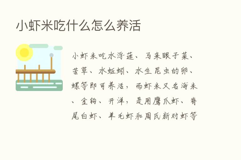 小虾米吃什么怎么养活