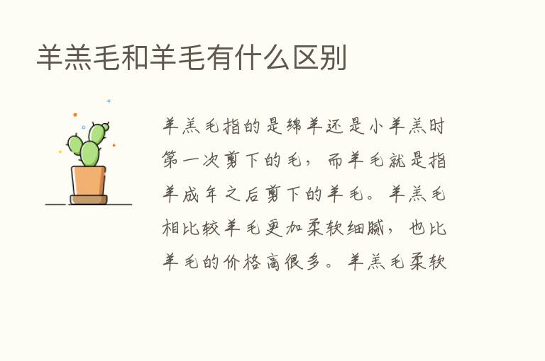 羊羔毛和羊毛有什么区别