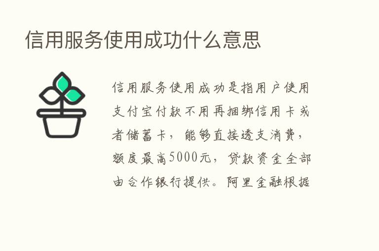 信用服务使用成功什么意思