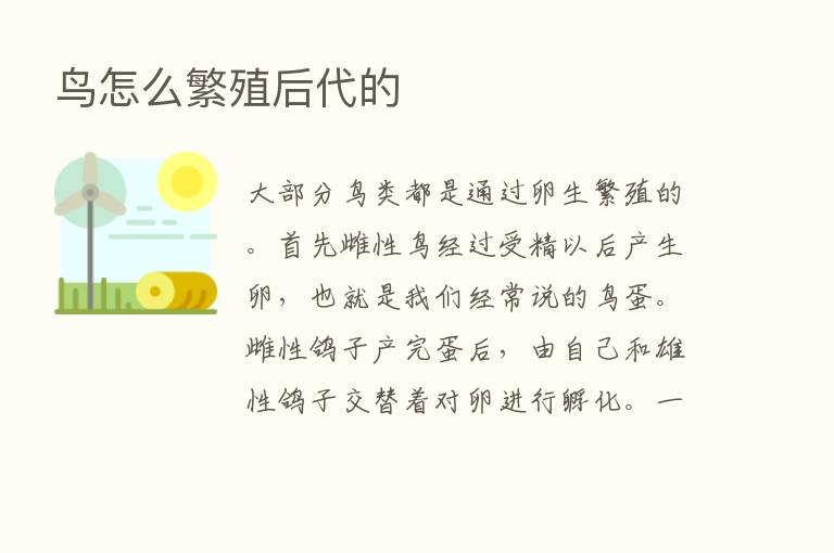 鸟怎么繁殖后代的