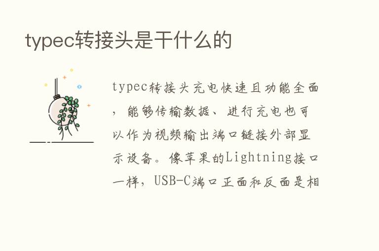 typec转接头是干什么的