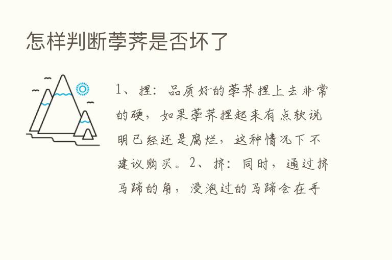 怎样判断荸荠是否坏了