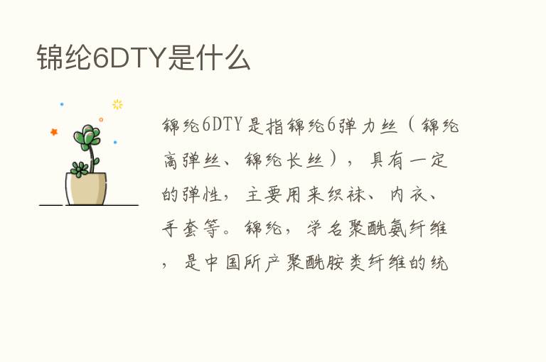 锦纶6DTY是什么