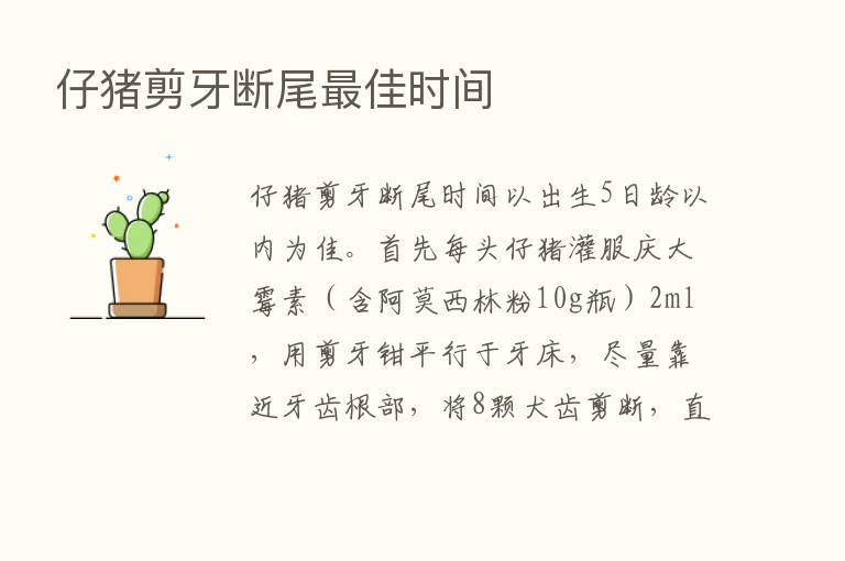 仔猪剪牙断尾   佳时间