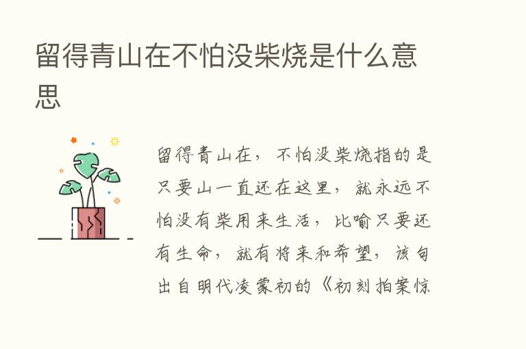 留得青山在不怕没柴烧是什么意思