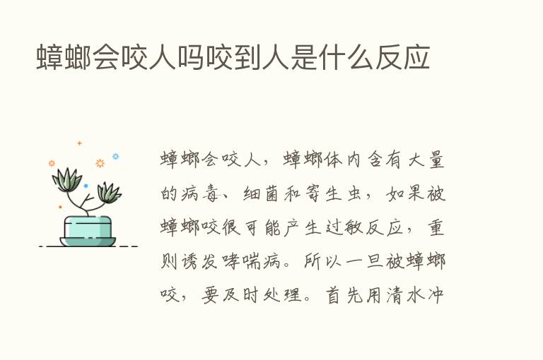 蟑螂会咬人吗咬到人是什么反应