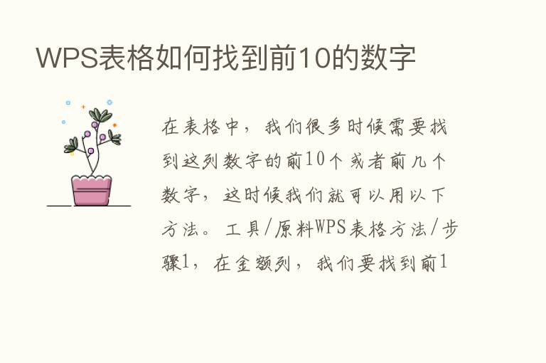 WPS表格如何找到前10的数字