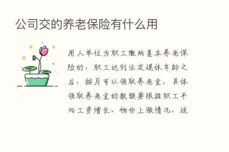 公司交的养老      有什么用