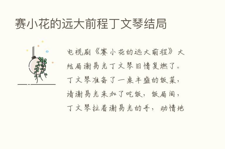 赛小花的远大前程丁文琴结局