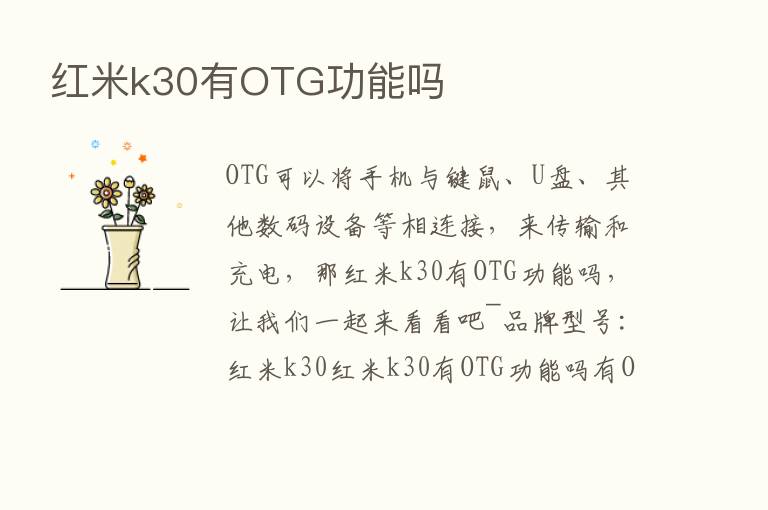 红米k30有OTG功能吗