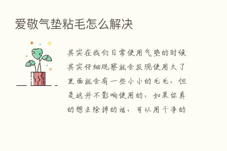 爱敬气垫粘毛怎么解决