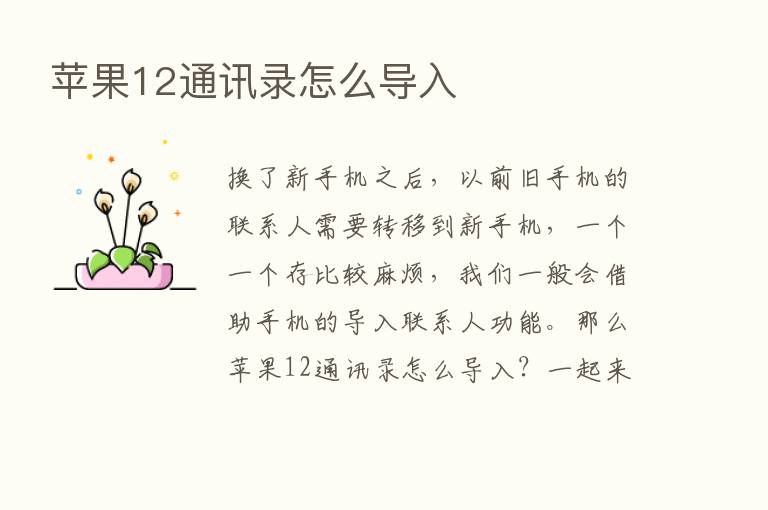 苹果12通讯录怎么导入