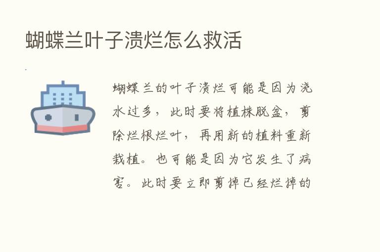 蝴蝶兰叶子溃烂怎么救活