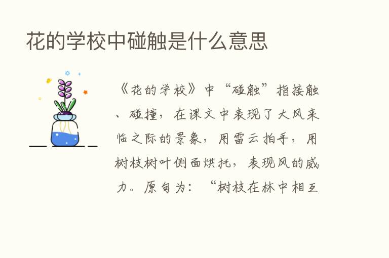 花的学校中碰触是什么意思