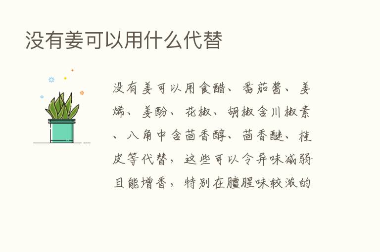 没有姜可以用什么代替