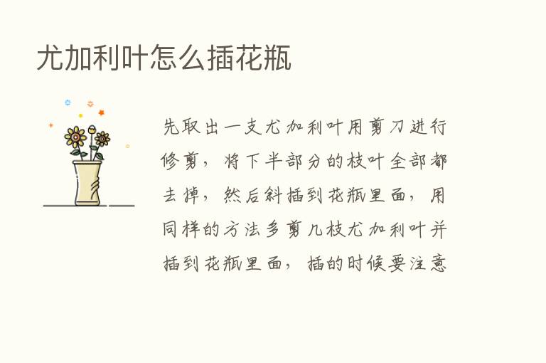 尤加利叶怎么插花瓶