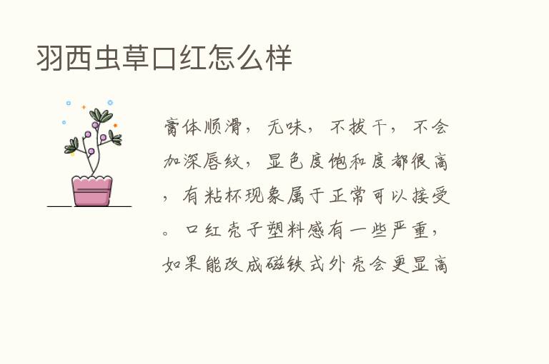 羽西虫草口红怎么样