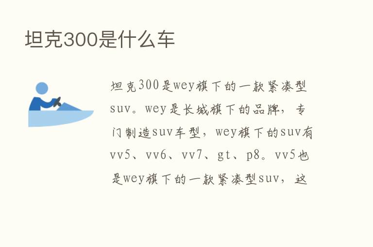 坦克300是什么车