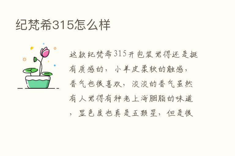 纪梵希315怎么样