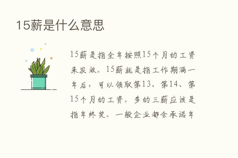 15薪是什么意思