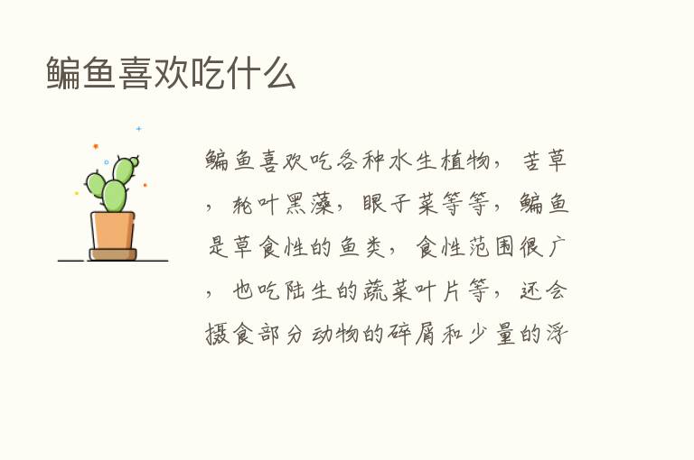 鳊鱼喜欢吃什么