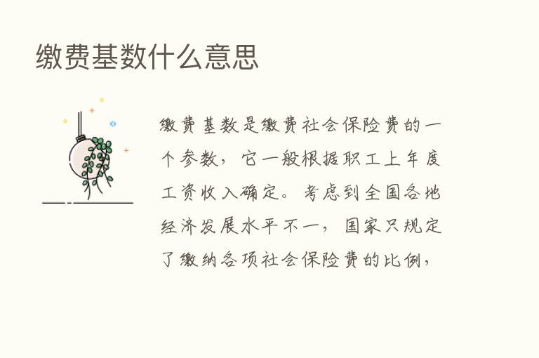 缴费基数什么意思