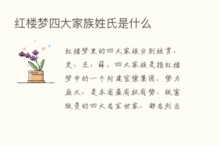 红楼梦四大家族姓氏是什么