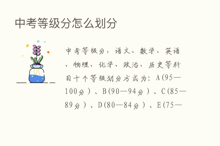 中考等级分怎么划分