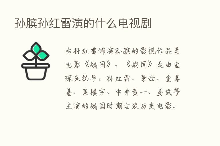 孙膑孙红雷演的什么电视剧