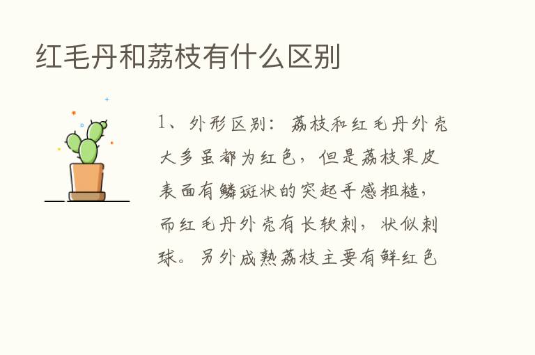 红毛丹和荔枝有什么区别