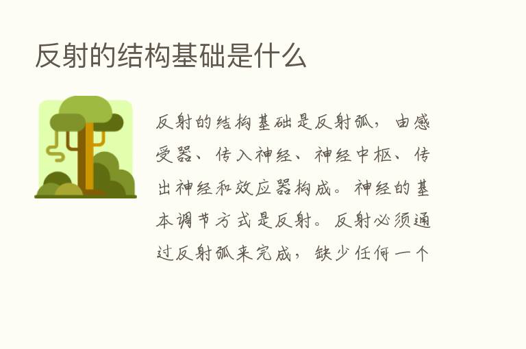 反射的结构基础是什么