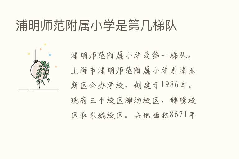 浦明师范附属小学是   几梯队