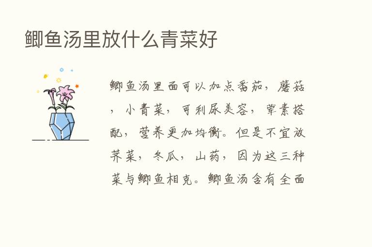 鲫鱼汤里放什么青菜好