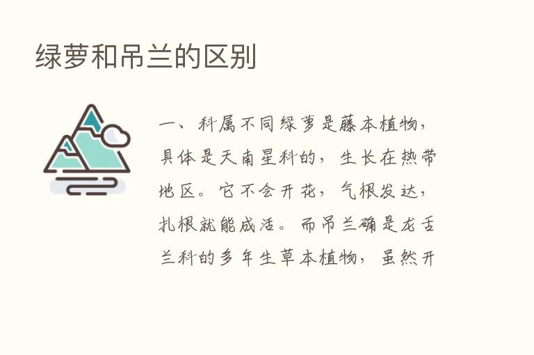 绿萝和吊兰的区别