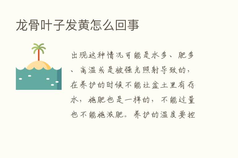 龙骨叶子发黄怎么回事