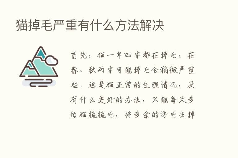 猫掉毛严重有什么方法解决