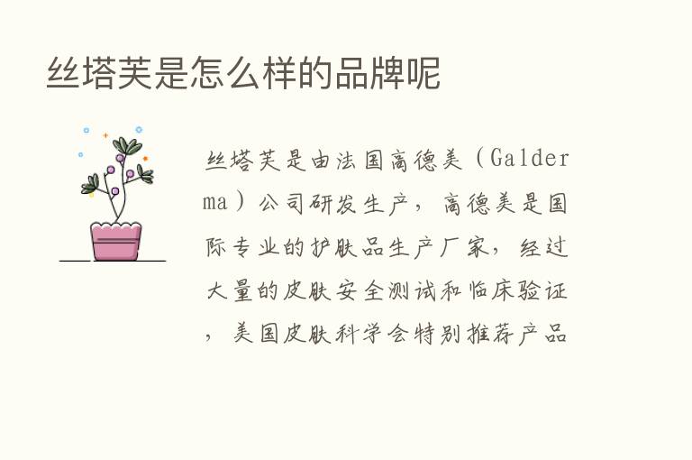 丝塔芙是怎么样的品牌呢