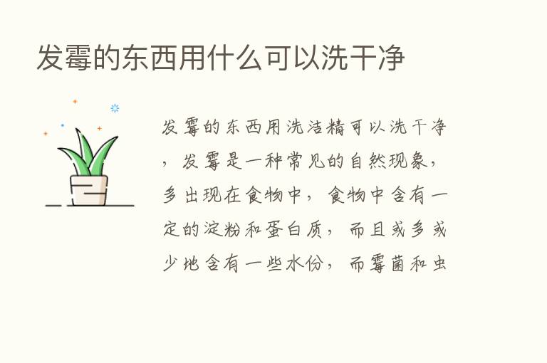 发霉的东西用什么可以洗干净